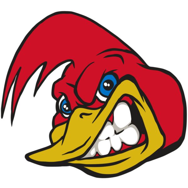 AR30 RRUNNER 03 RQC Thumbnail